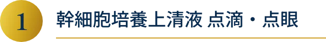 1.幹細胞培養上清液 点滴・点眼