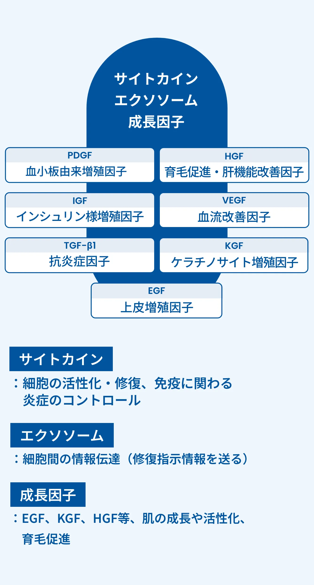 幹細胞を培養した際の上澄み液に含まれる成分